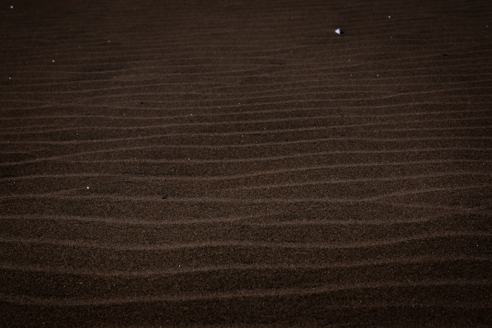 a small white object is sitting in the sand