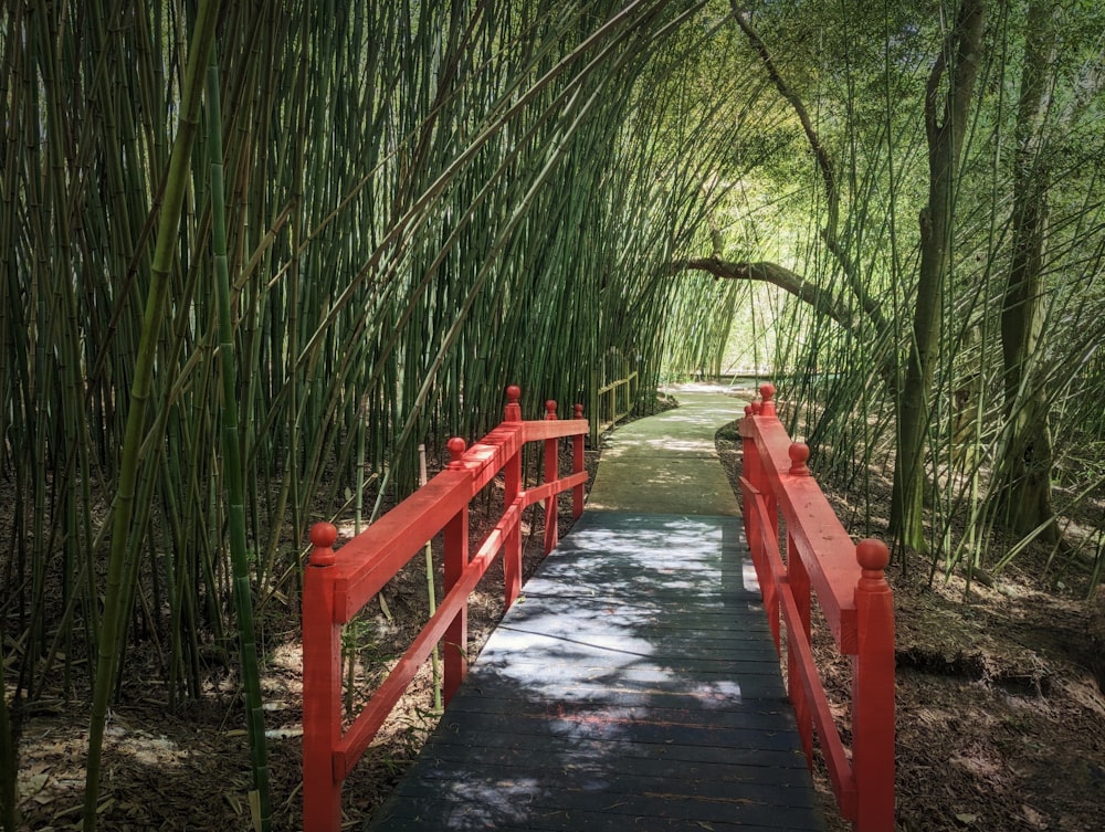 a red bridge going through a bamboo forest
