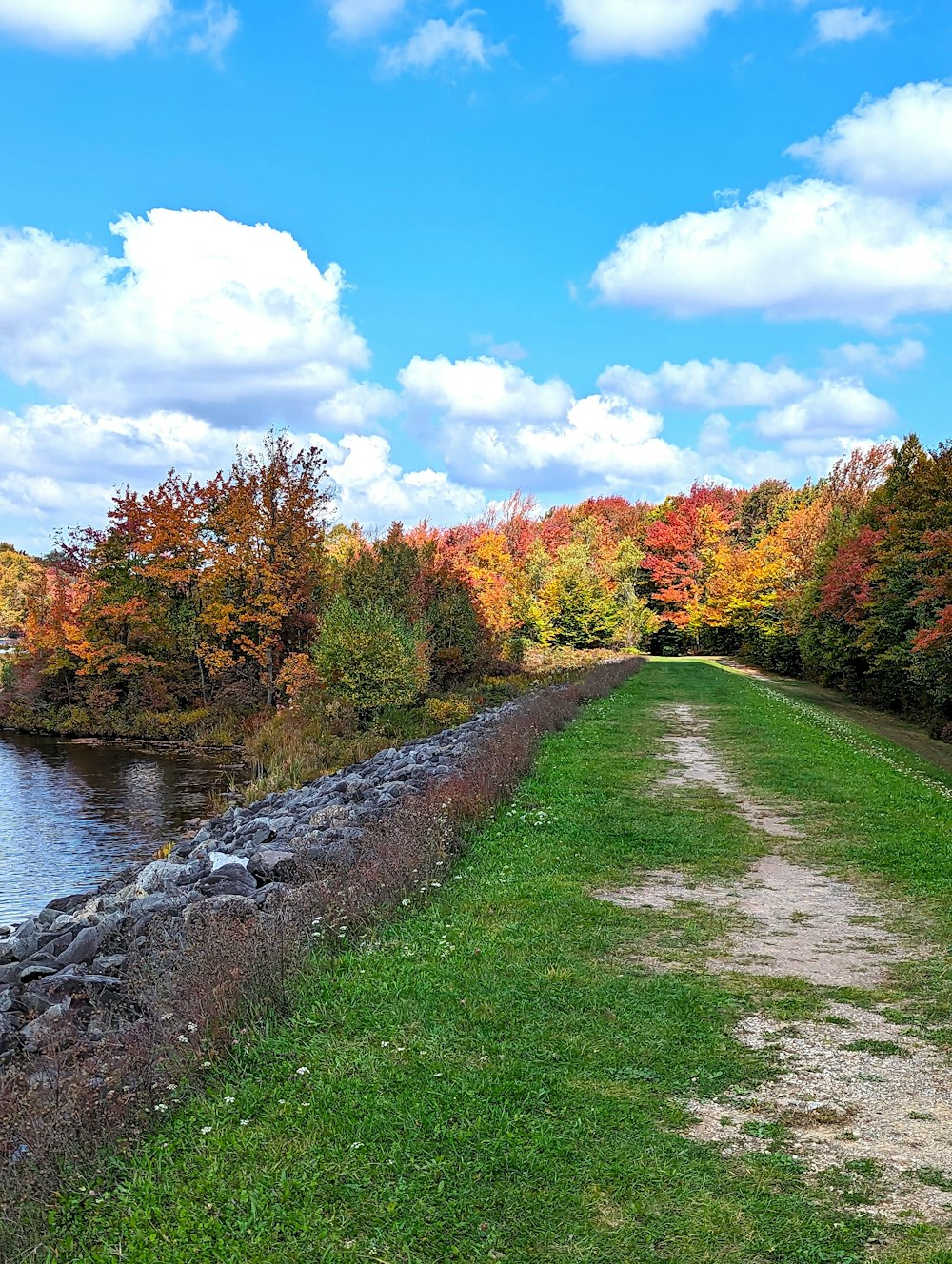 a path that is next to a body of water