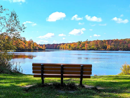 a wooden bench sitting on top of a lush green field