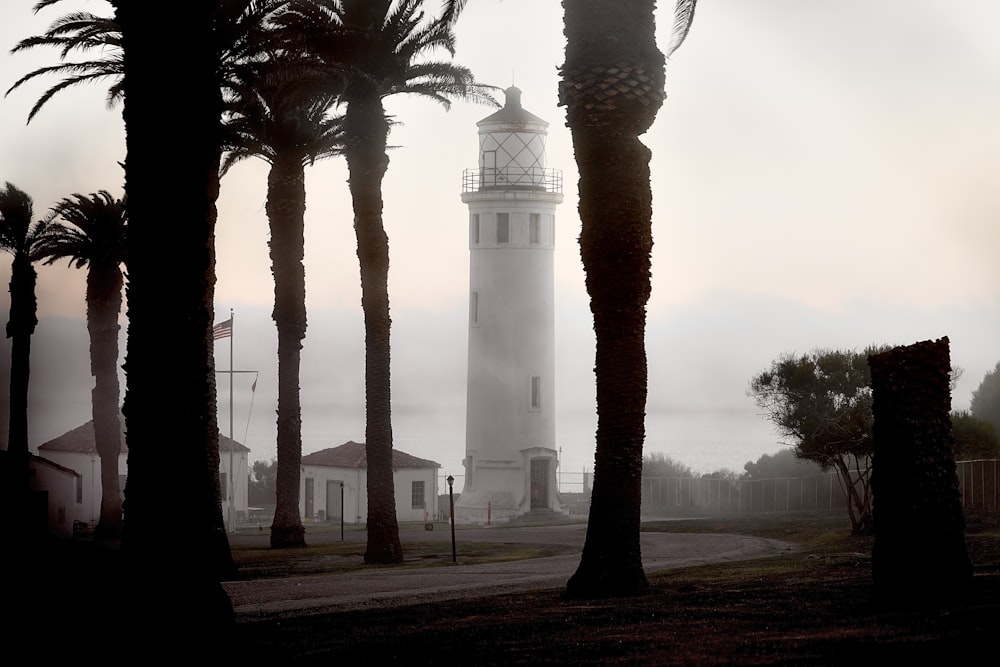 a light house surrounded by palm trees on a foggy day
