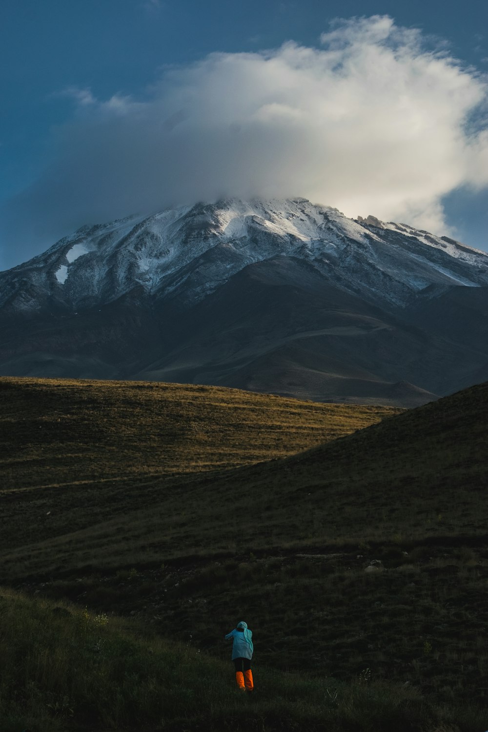 a person standing in a field with a mountain in the background