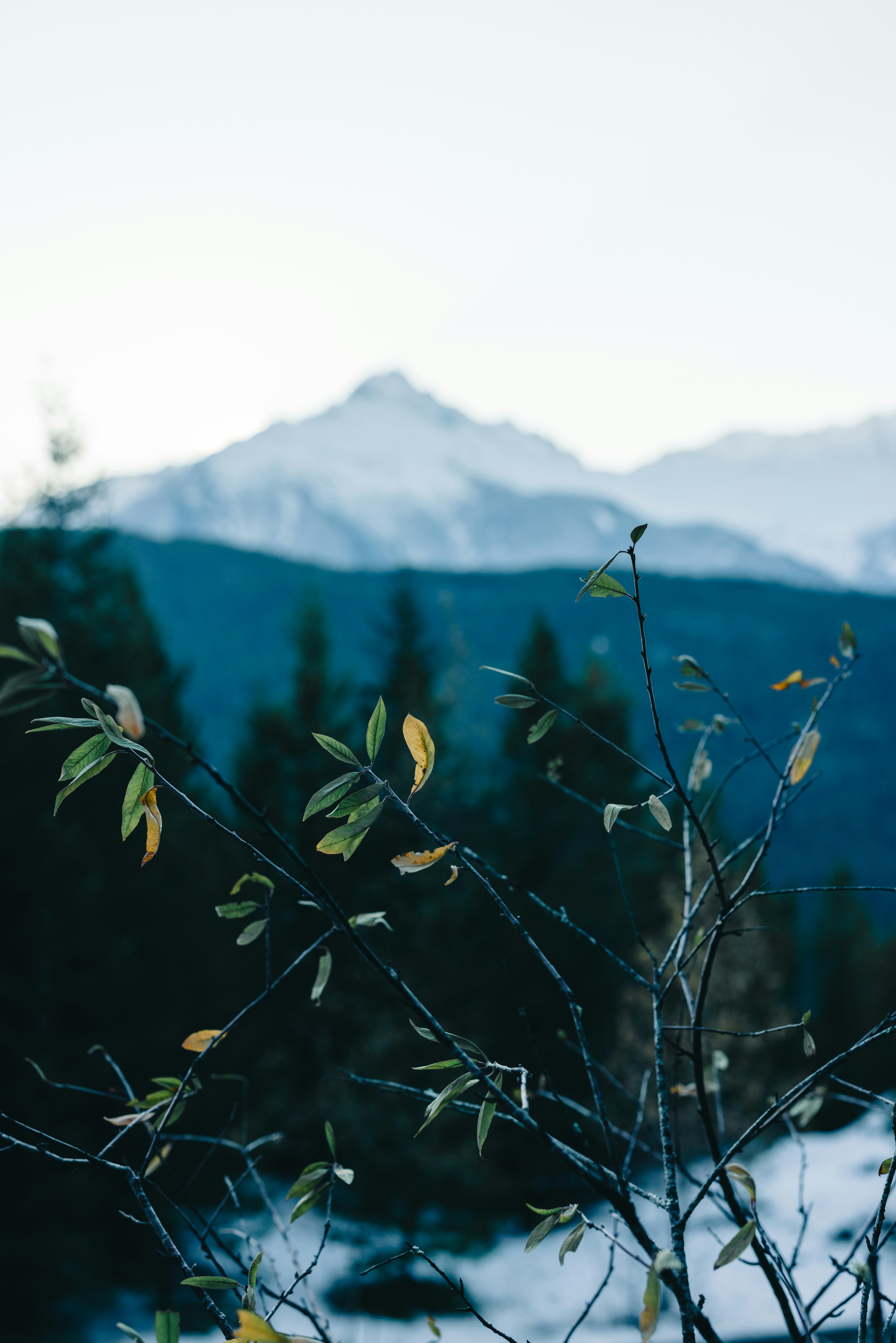 Photo by lureofadventure