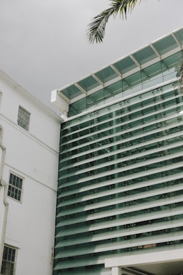 The image depicts a modern architectural structure with a combination of glass and metal elements. Vertical metal slats are prominently featured, providing a sleek and contemporary appearance. In the corner, a palm tree branch is visible against the sky, adding a touch of nature to the urban setting.