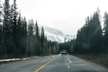 An RV driving along a winding mountain road surrounded by pine trees.