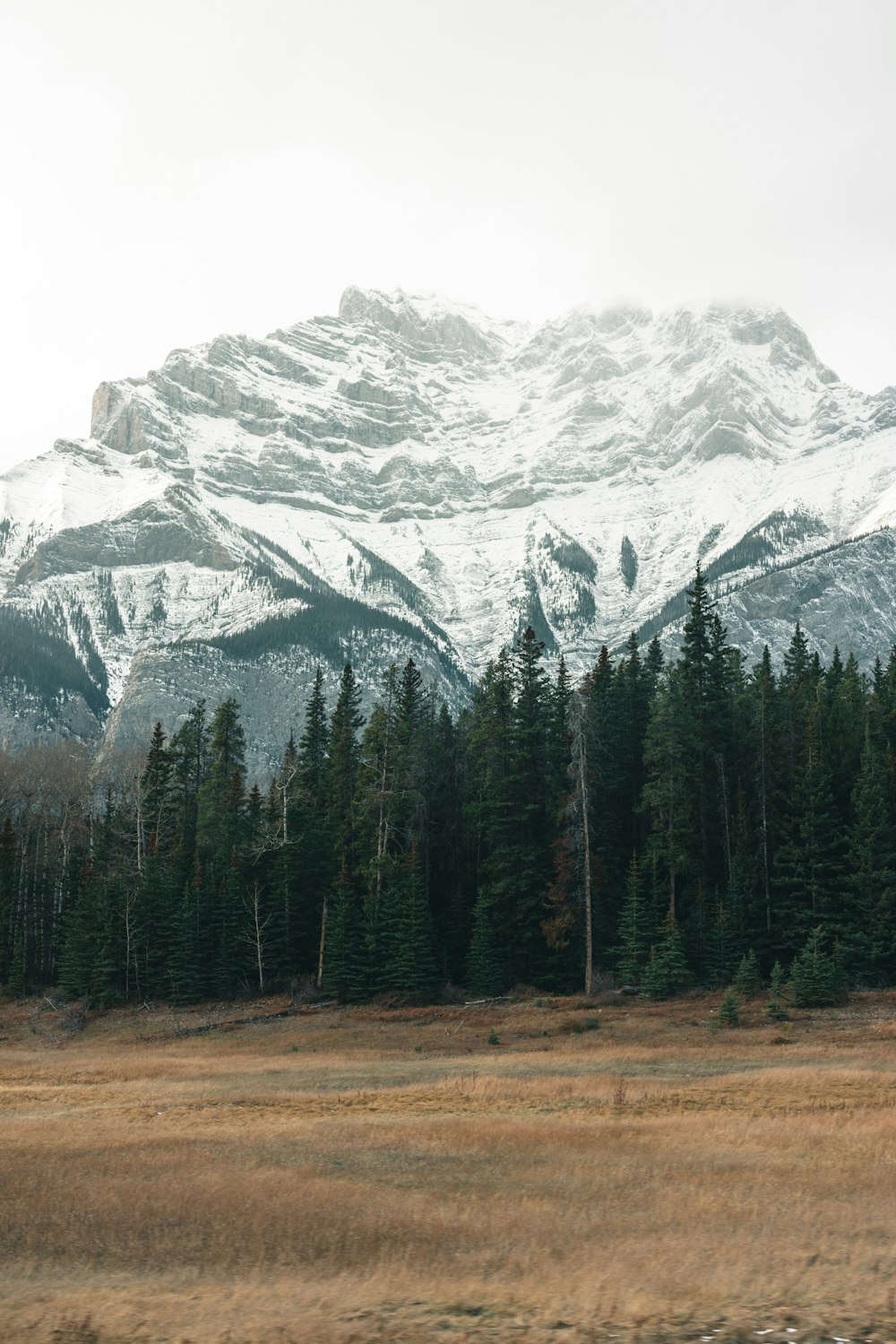 a mountain range with trees in the foreground and a field in the foreground