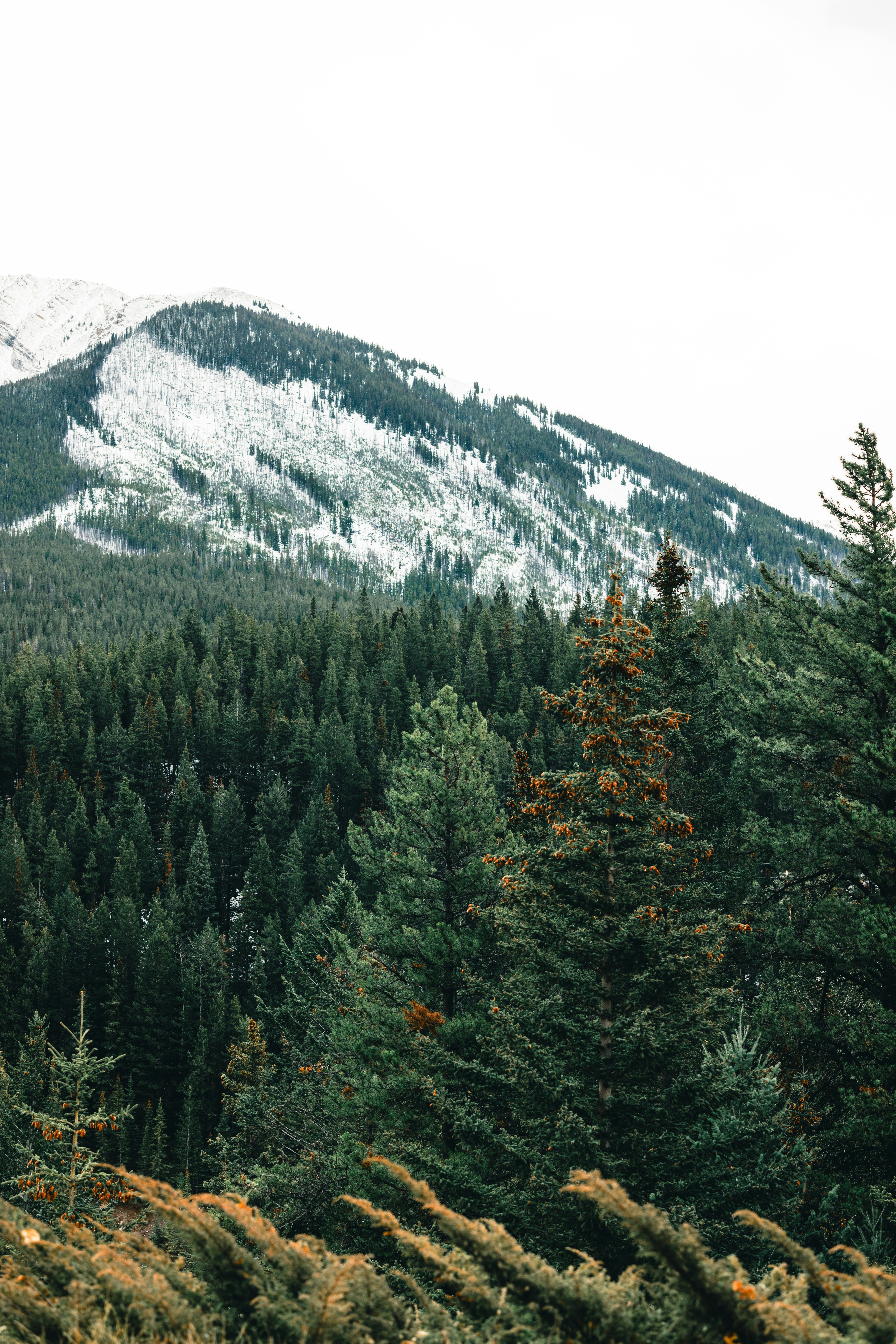 Photo by lureofadventure