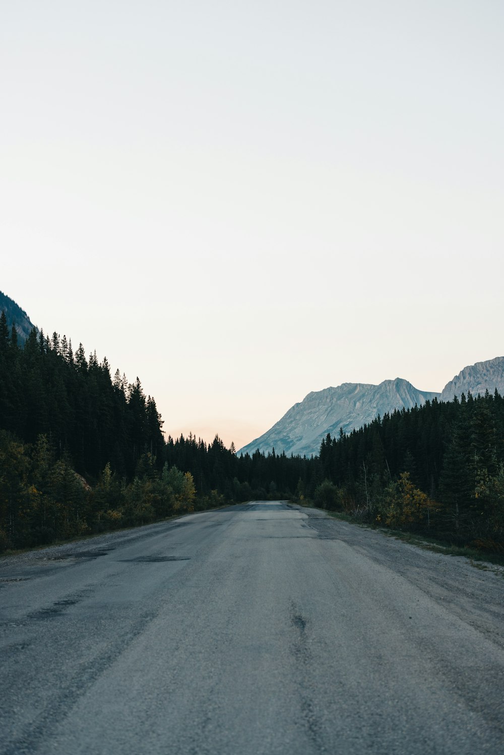 a road in the middle of a forest with mountains in the background