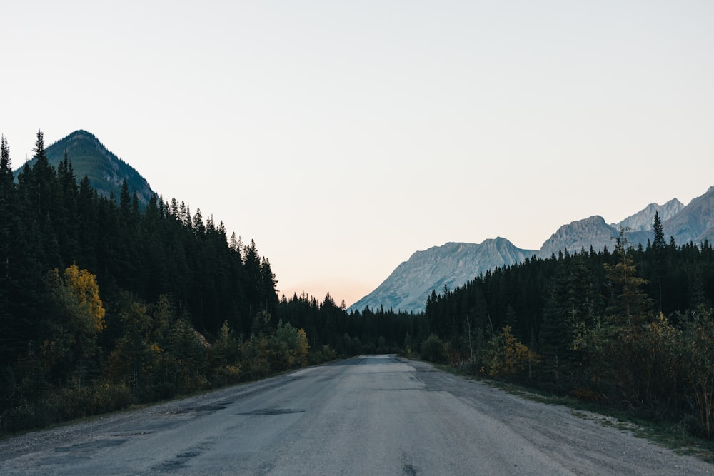 a dirt road with trees and mountains in the background