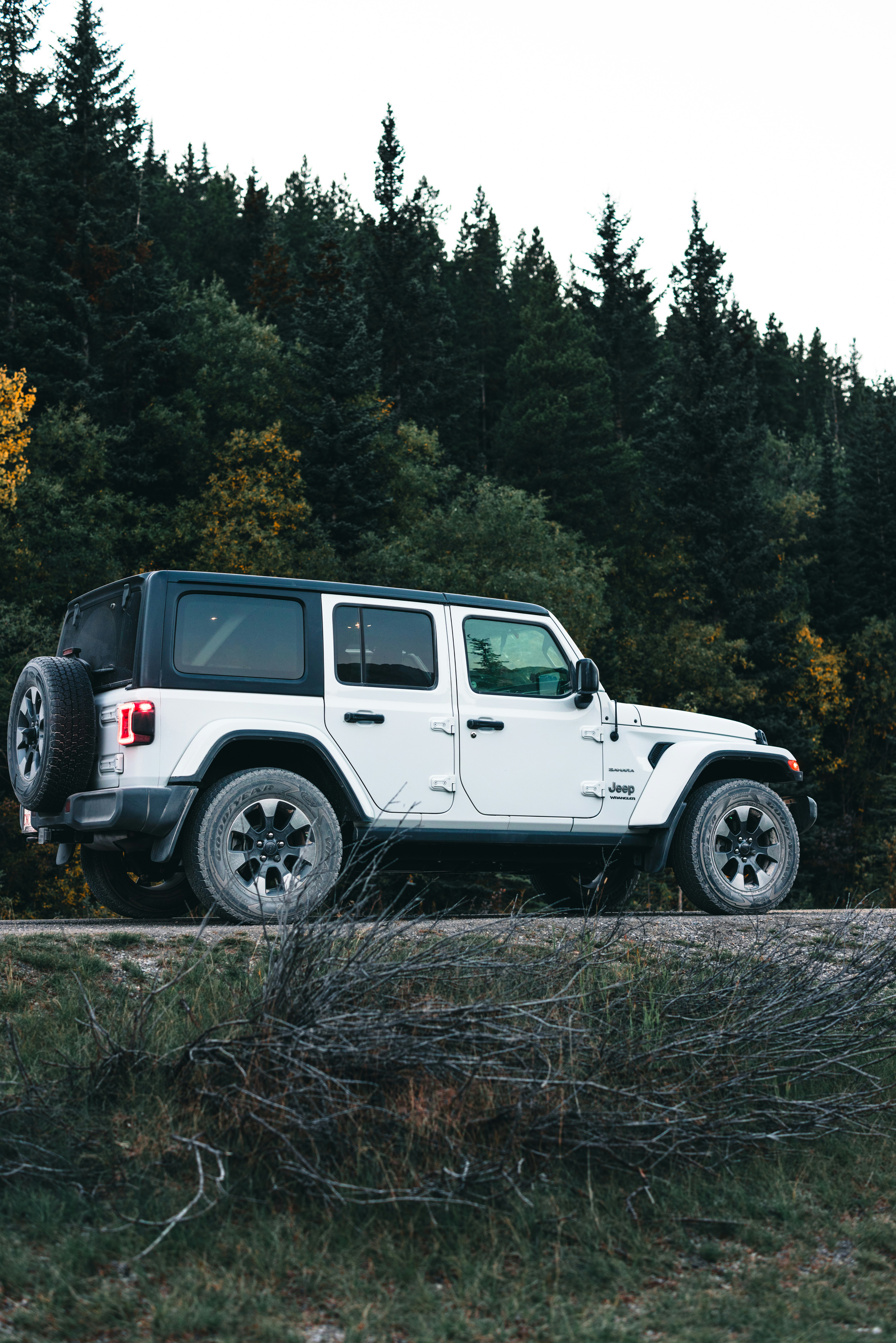 Photo by lureofadventure