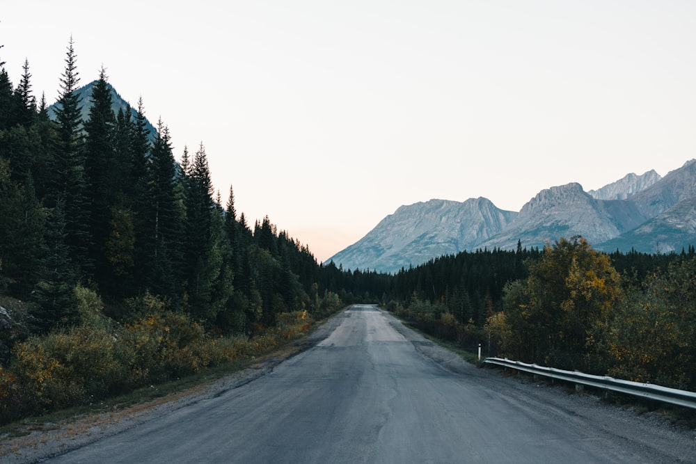 an empty road with trees and mountains in the background