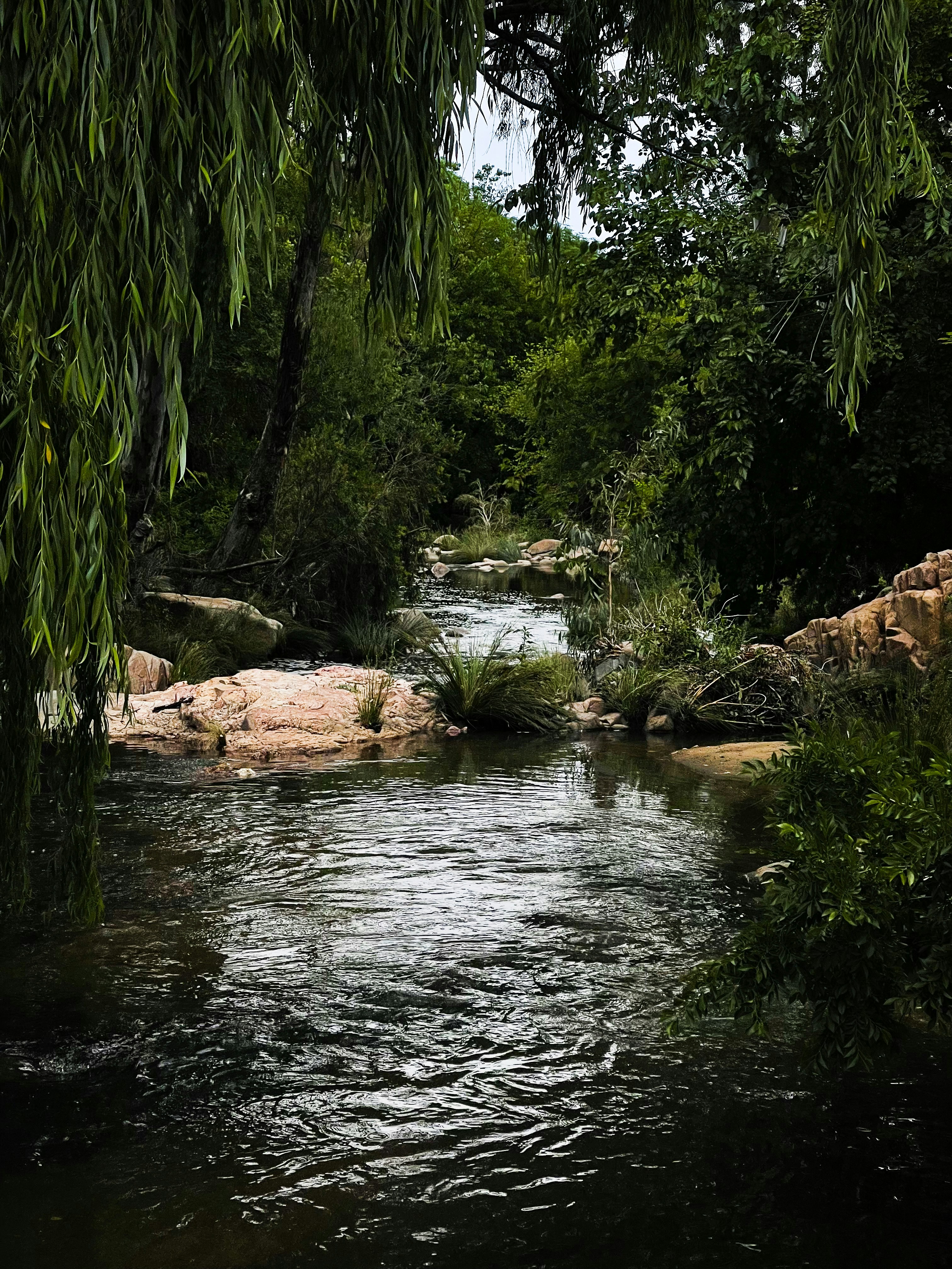 임진강 댑싸리정원 관련 이미지2