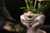 A ceramic vase shaped like a face with closed eyes and hands supporting its chin, containing green leafy stems. The glossy white surface of the vase contrasts with the vibrant green of the leaves. The background is dark, enhancing the focus on the vase and foliage.