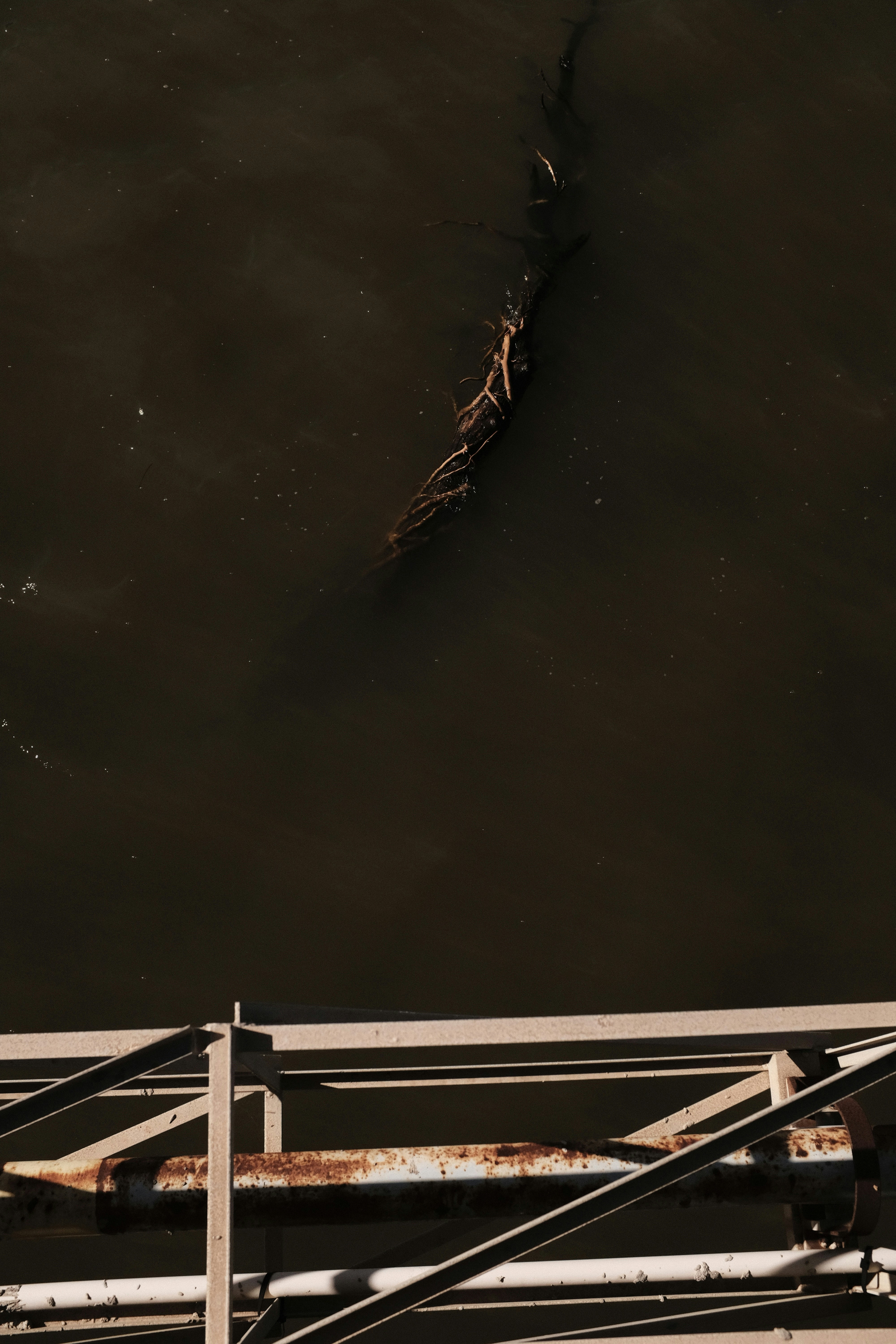 Photo by studiopizza