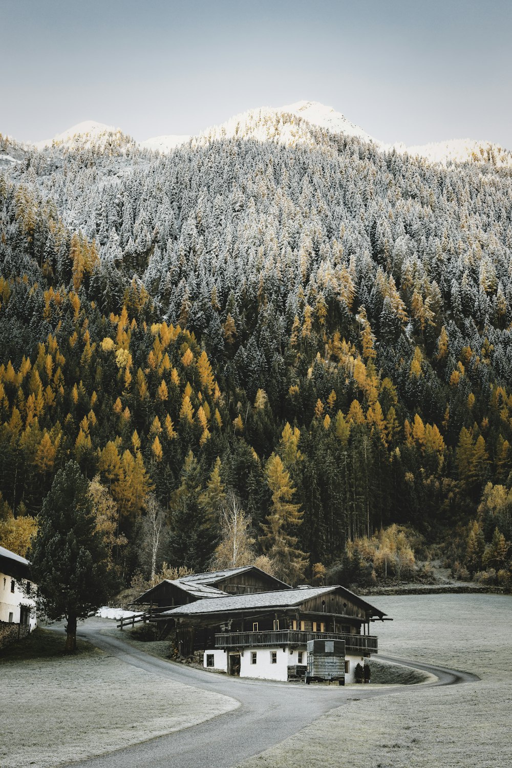 a house in the middle of a field with a mountain in the background