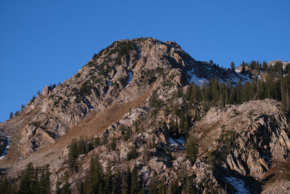 a very tall mountain with some trees on top of it