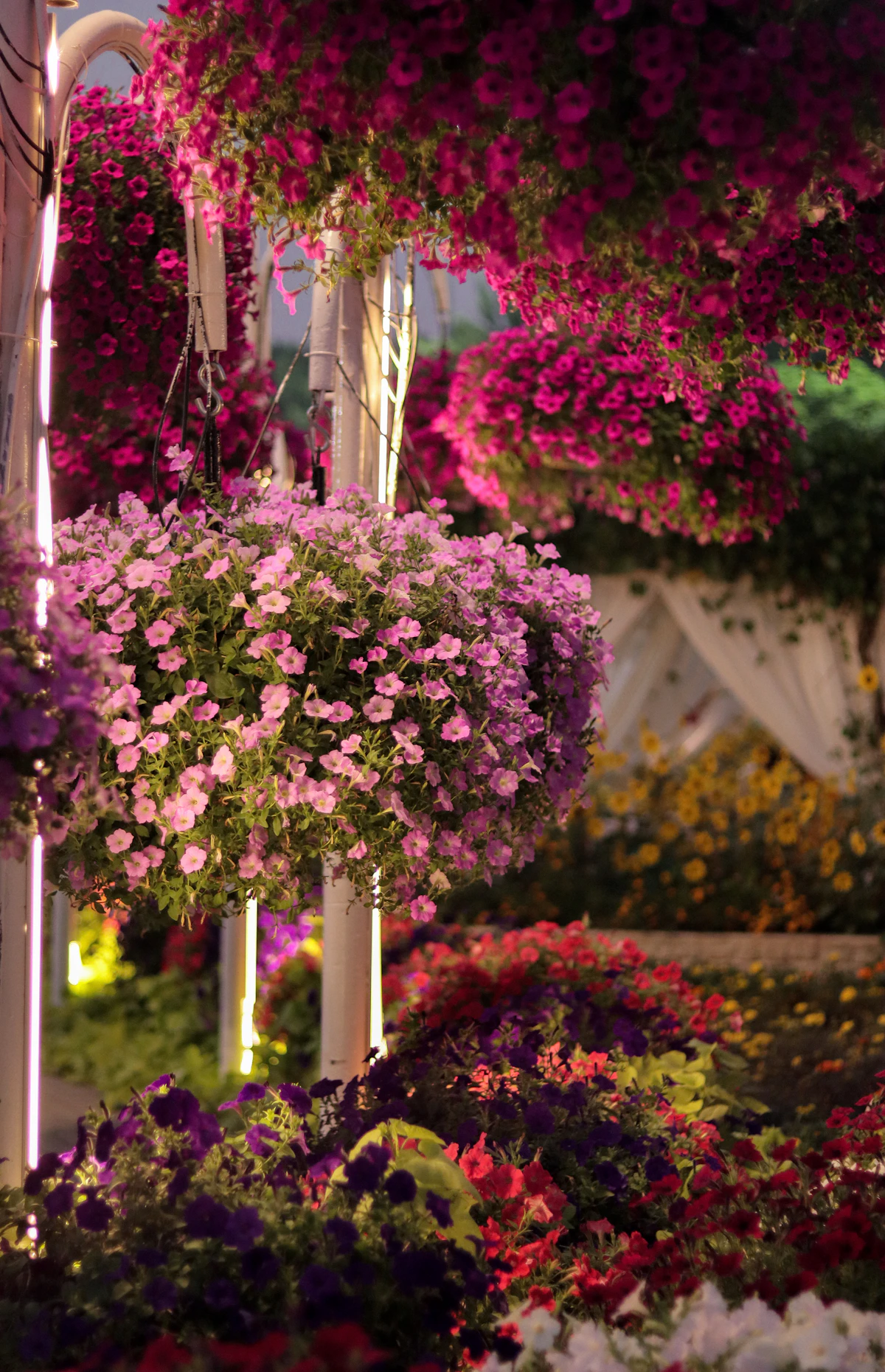 Combo: Burj Khalifa + Dubai Miracle Garden