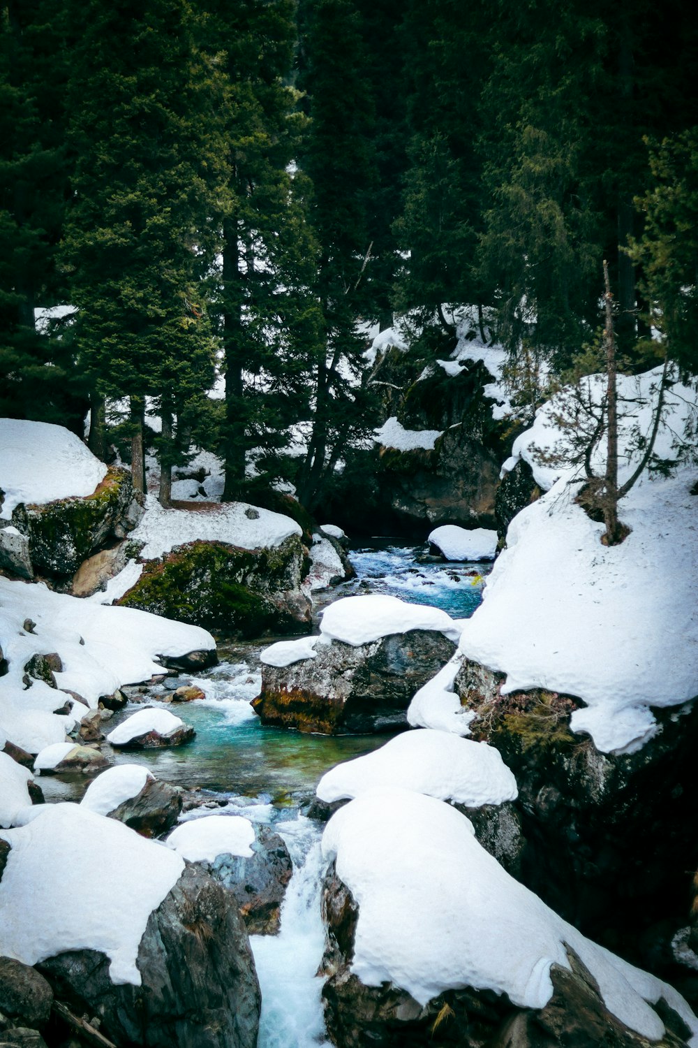 a stream running through a snow covered forest