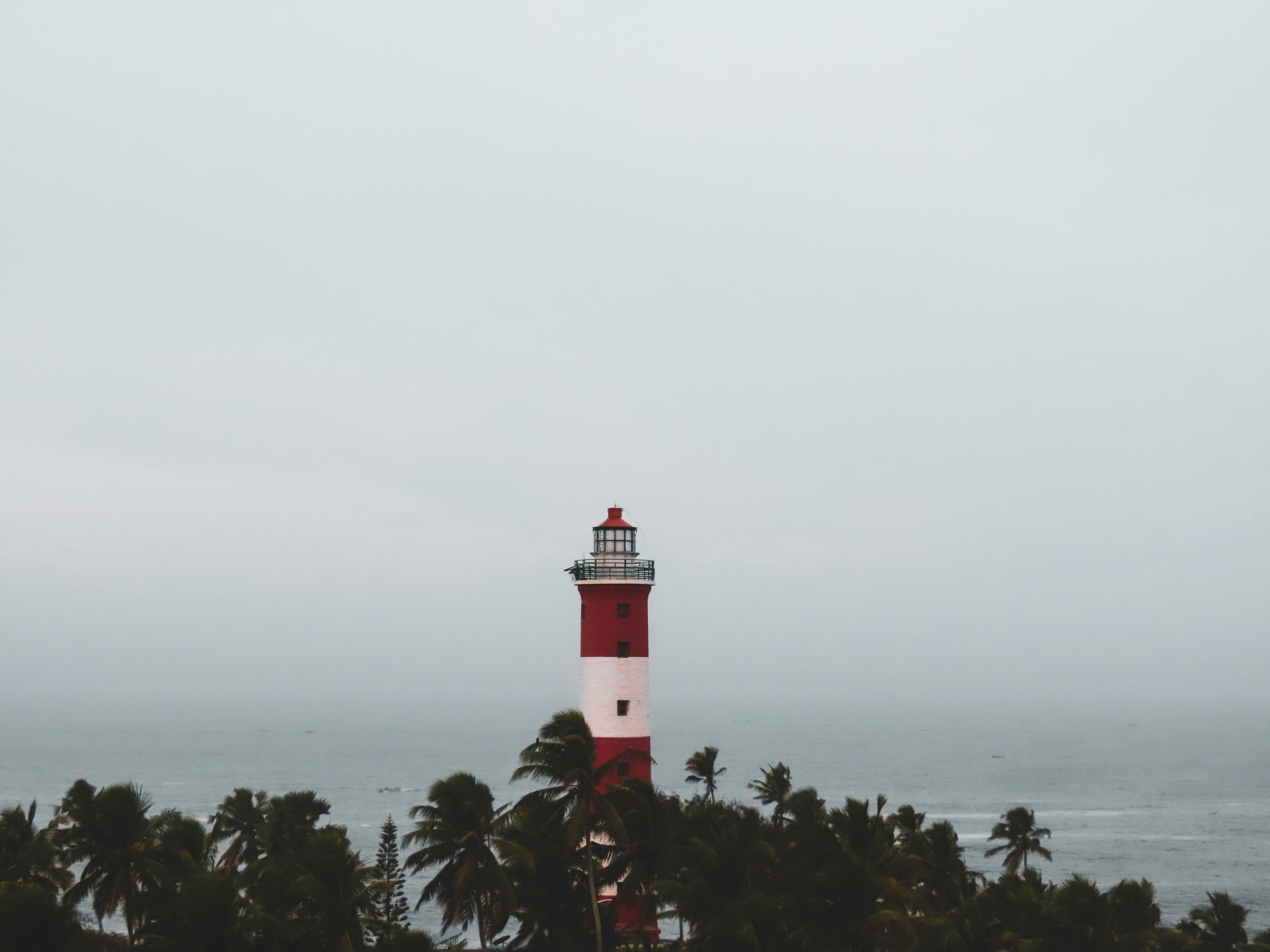 Photo by shutterbugsumit