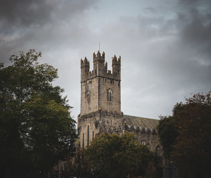 Best Street Food in Limerick: What to Eat and Where to Find It