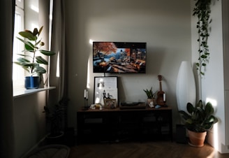 a living room with a television and a potted plant