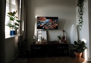 UltraView 55"