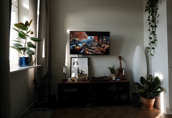 A cozy living room corner featuring a TV mounted on the wall with a scenic image displayed. There are several potted plants on the windowsill and surrounding area, adding a touch of greenery. A guitar and a tall, slender lamp are placed on the wooden console table, which also holds a small collection of decorative items and framed art. Natural light filters through the window, casting gentle shadows and creating a warm atmosphere.