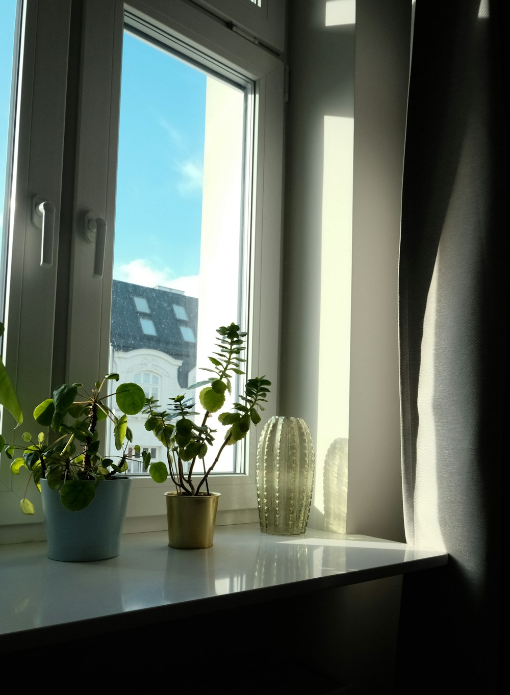 a couple of potted plants sitting on top of a window sill