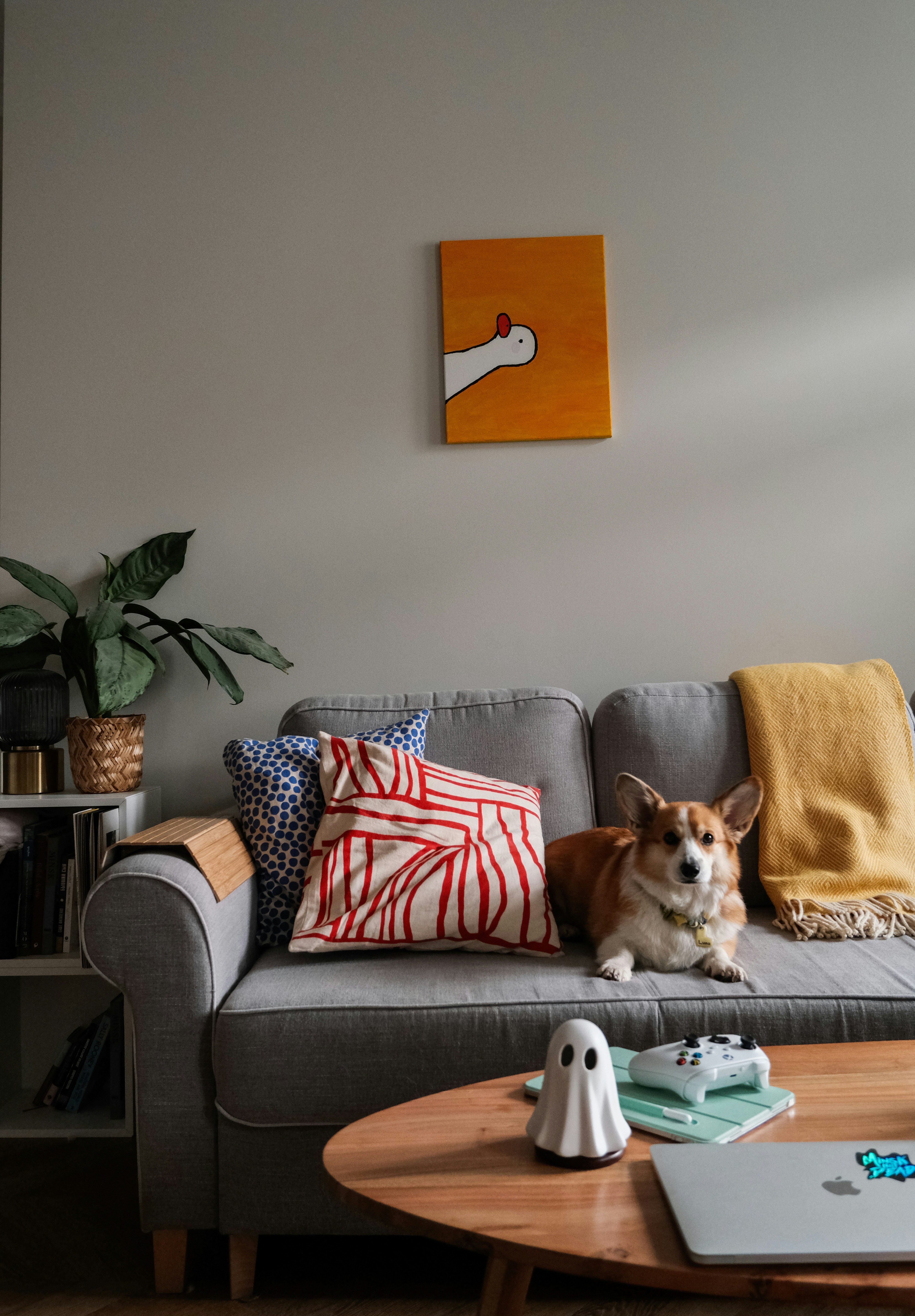 A dog sitting on a couch in a living room photo – Free Home Image on ...