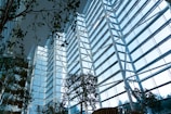 A modern, spacious interior filled with natural light streaming through large, floor-to-ceiling glass windows. The structure is characterized by tall white beams and steel framework. Several lush green plants are arranged throughout the space, contributing to a harmonious blend of nature and architecture.