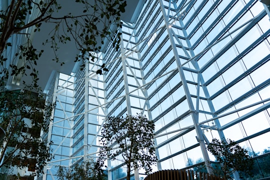 A sleek, light-filled modern home with large windows and natural materials.