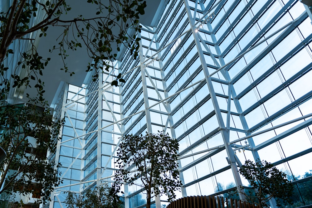 a tall building with lots of windows next to a tree