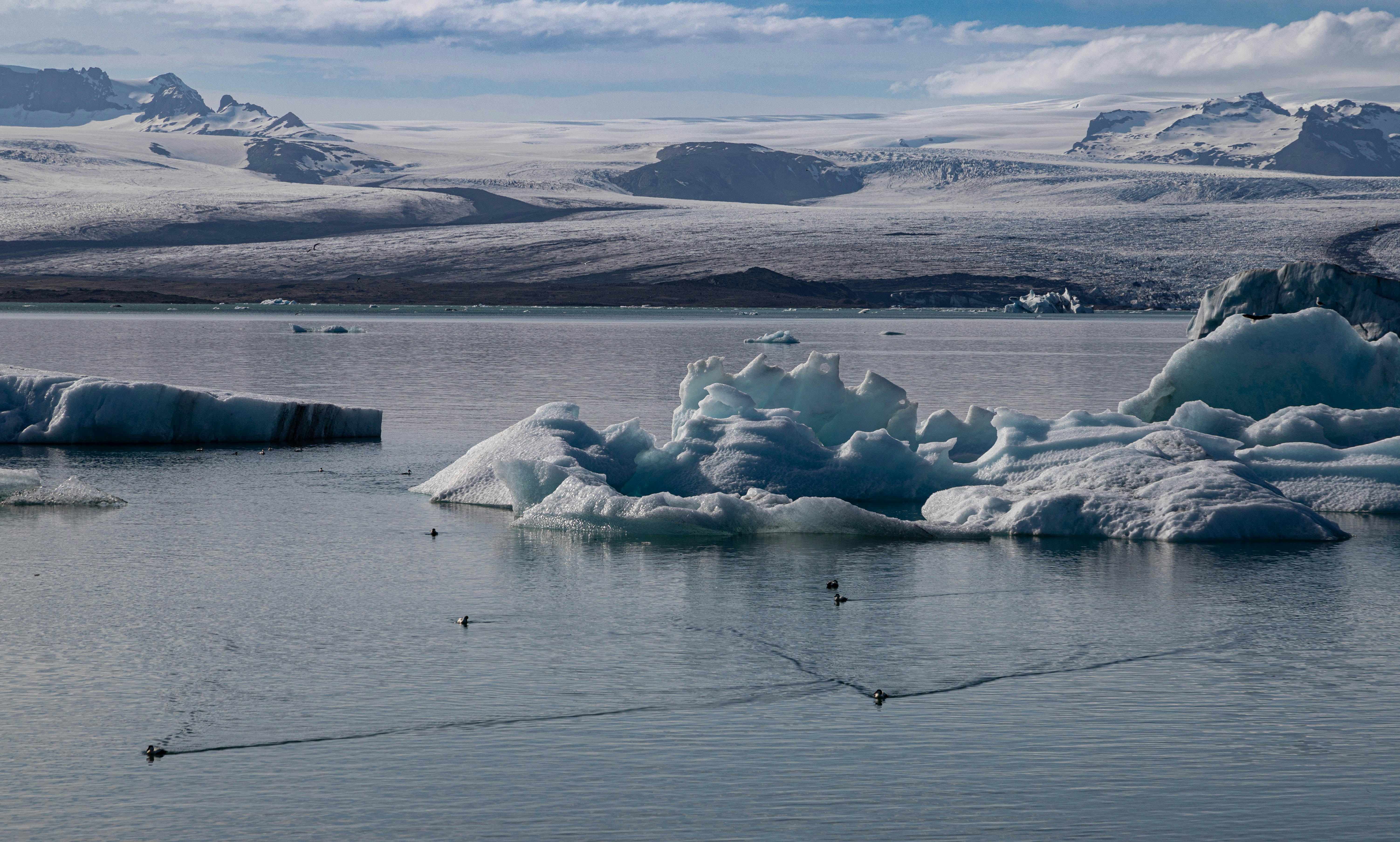 A group of icebergs floating on top of a body of water photo – Free
