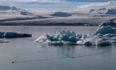 A tranquil glacier lagoon filled with floating icebergs.
