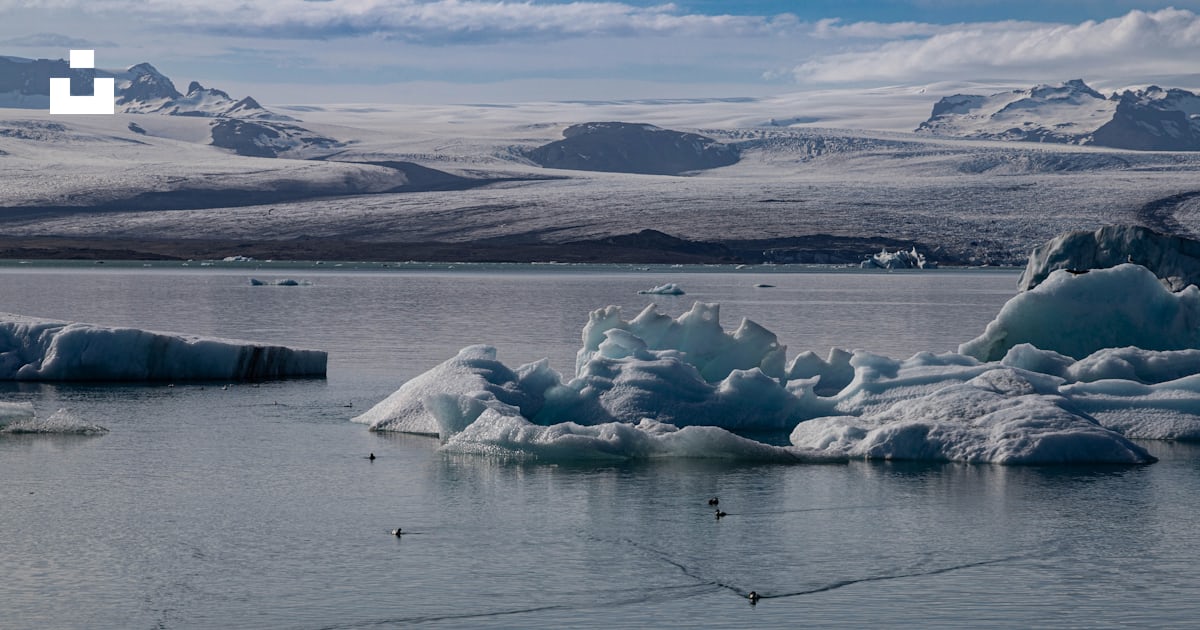 A group of icebergs floating on top of a body of water photo – Free