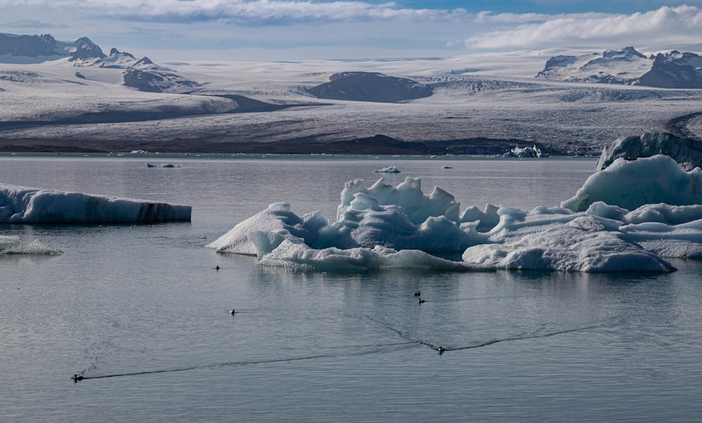 a group of icebergs floating on top of a body of water