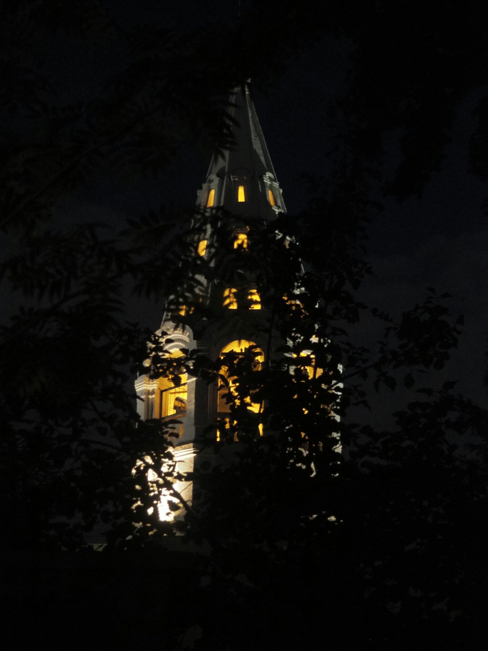 a clock tower lit up at night with trees in the foreground