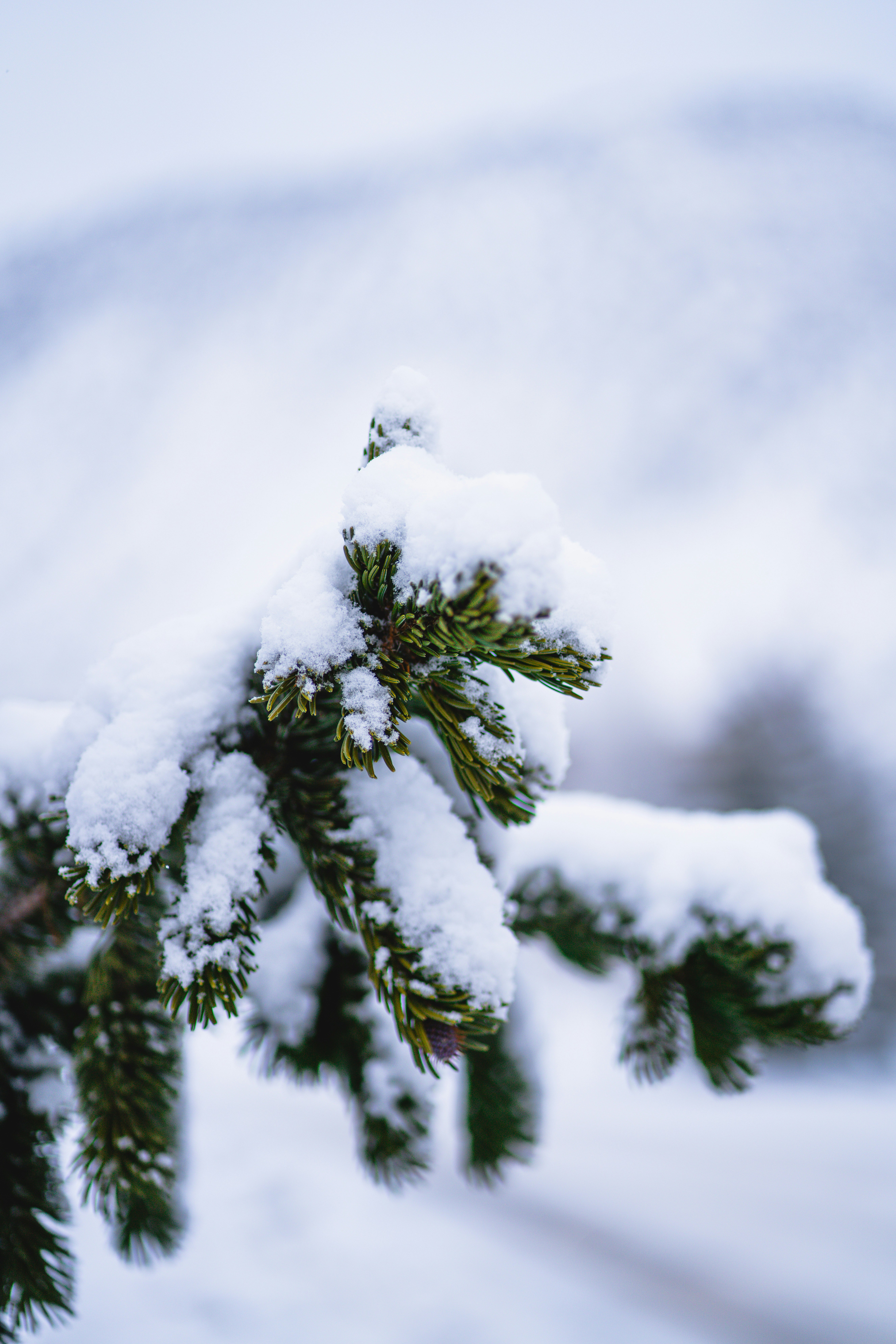 Photo by johndmurphey