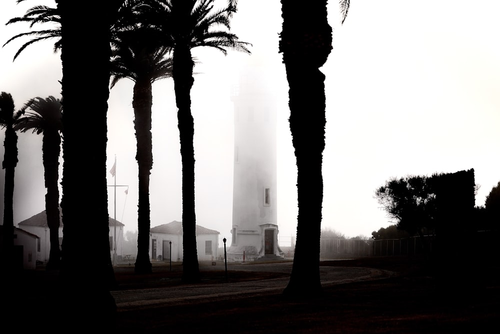 a tall clock tower towering over a forest of palm trees