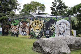 A large mural on an outdoor wall depicts detailed images of various big cats, including a cougar, jaguar, leopard, and lion, set against a lush jungle background. The mural is bordered by a black metal fence, and the scene is surrounded by vivid green trees and grass. In the foreground, there are large rocks on a grassy area.