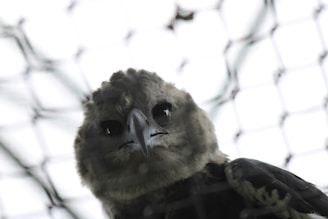 Close-up of a bird net installed on a balcony.