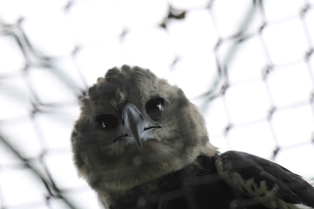 Close-up of a bird net installed on a balcony.