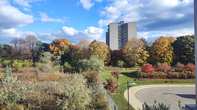 The image features an autumn landscape with a variety of trees showcasing vibrant fall colors, such as red, orange, and yellow. In the background, a tall apartment building rises above the tree line. The sky is mostly clear with scattered fluffy white clouds. In the foreground, there's a curved road and a fence, with several small shrubs and lampposts.