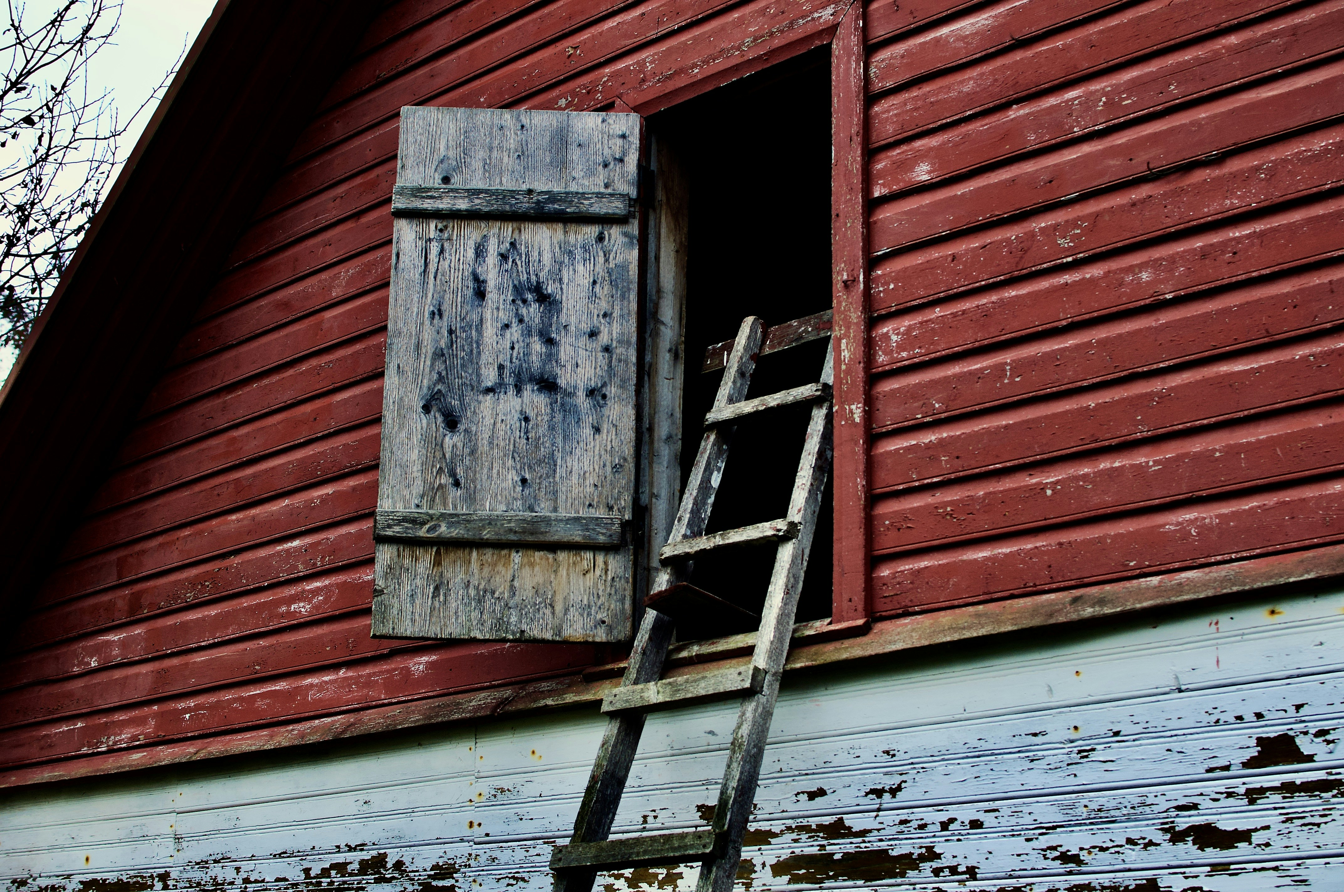 Photo by alexanderphotography