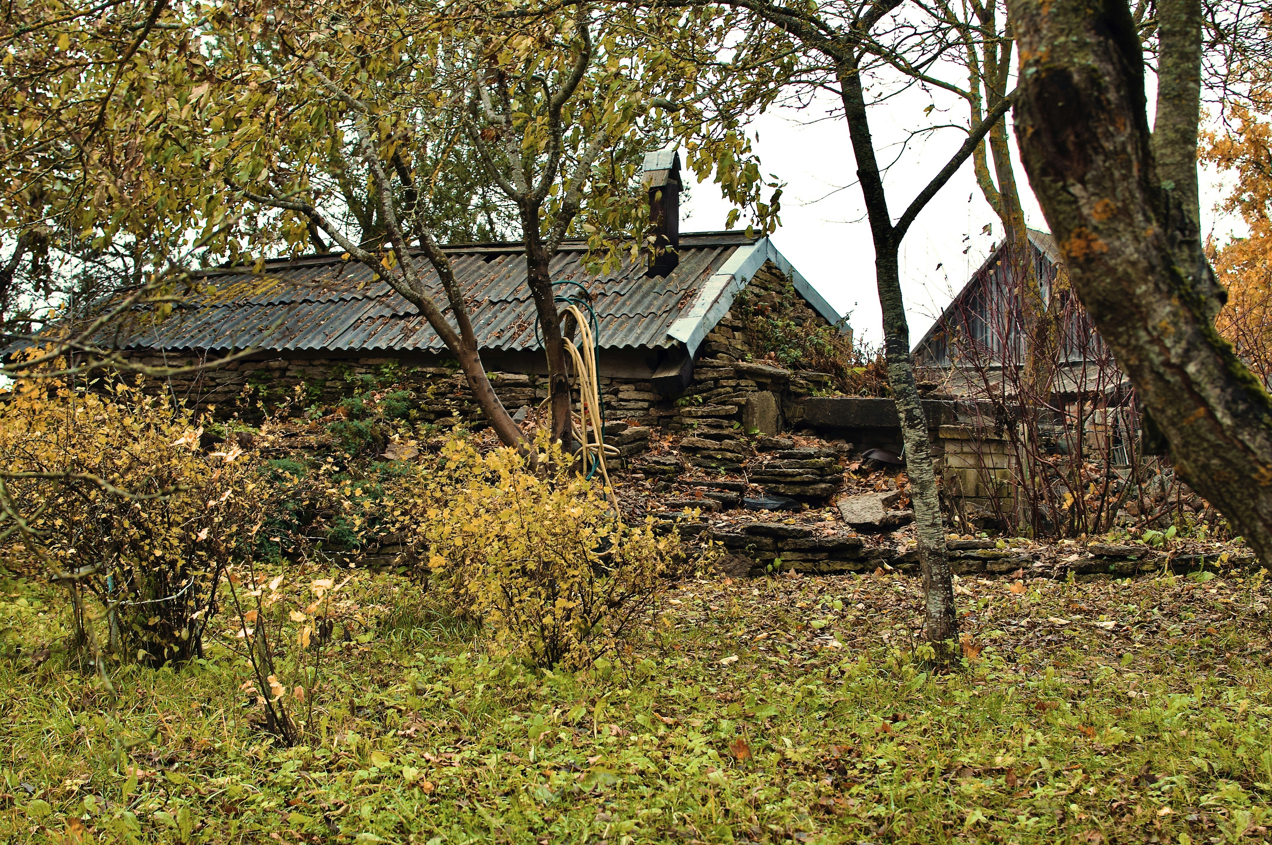 Photo by alexanderphotography