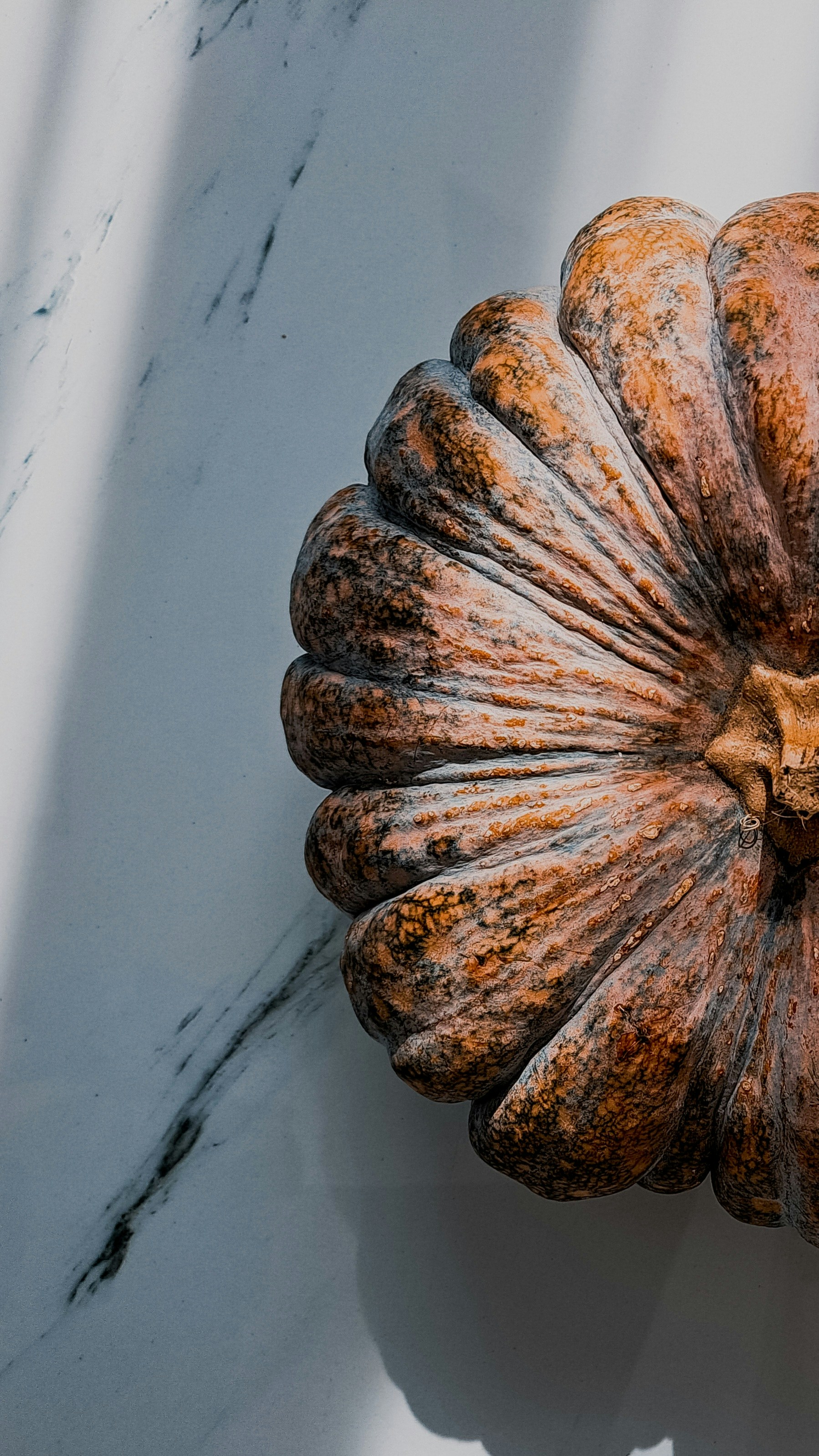 Photo by photo_setayesh