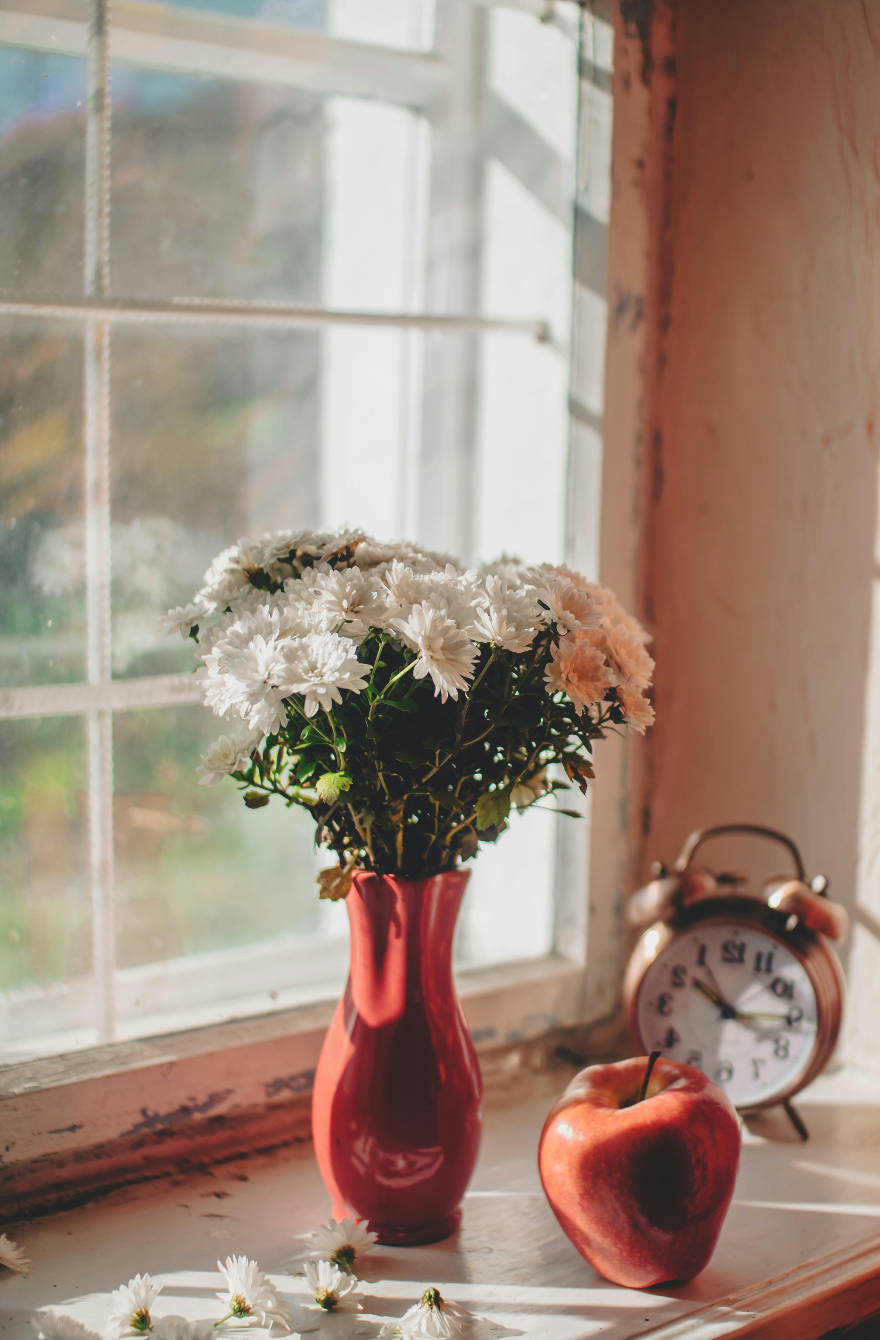 a vase of flowers and an apple sit on a window sill