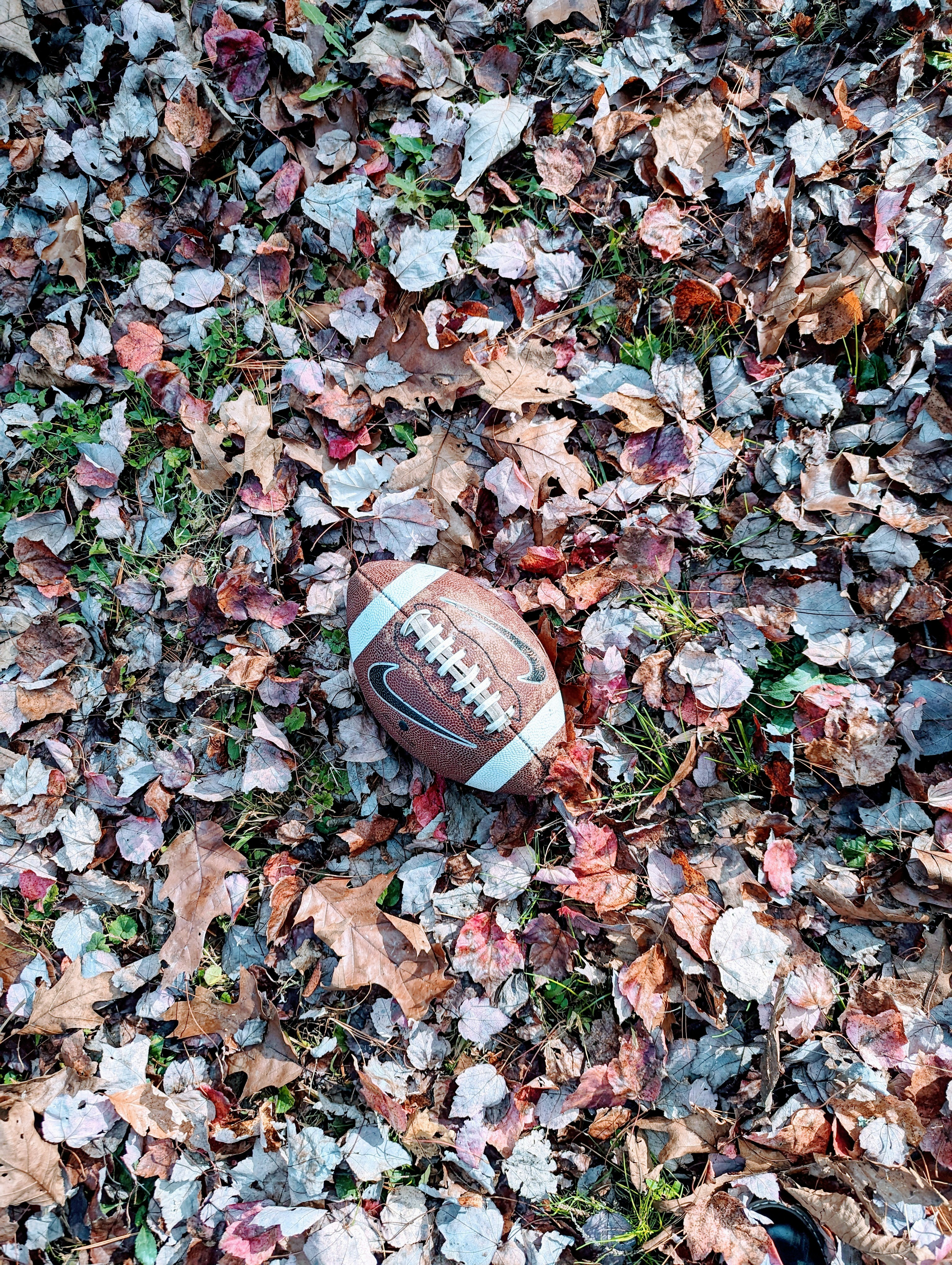 a football laying on top of a pile of leaves