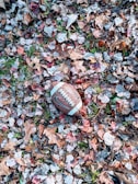 A football rests on a ground covered with dry, multicolored autumn leaves. The mix of leaves creates a textured and colorful background, with hints of green grass peeking through.