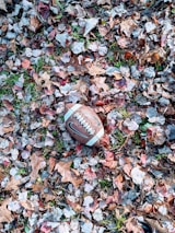 A football rests on a ground covered with dry, multicolored autumn leaves. The mix of leaves creates a textured and colorful background, with hints of green grass peeking through.